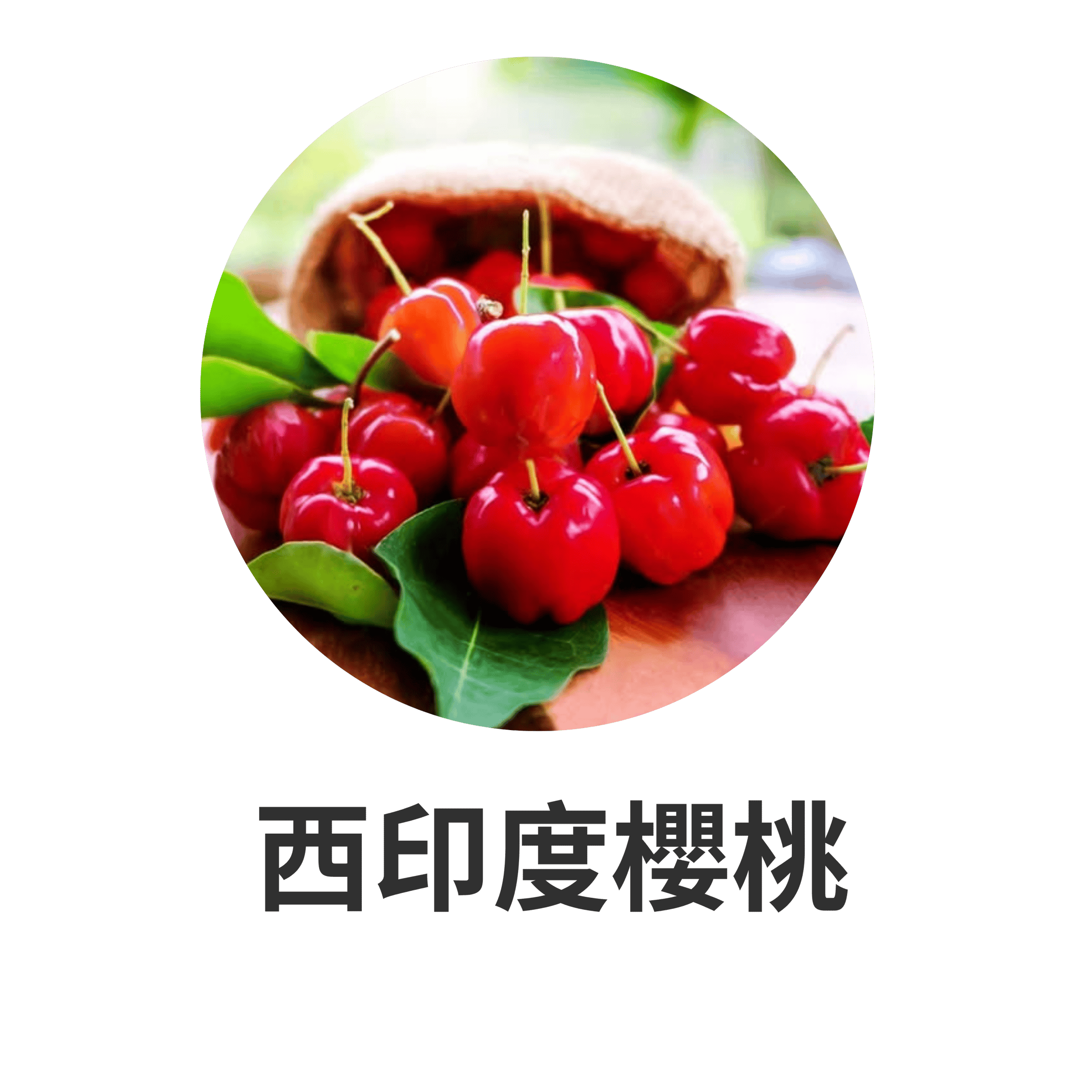 HIKARI 主要成分