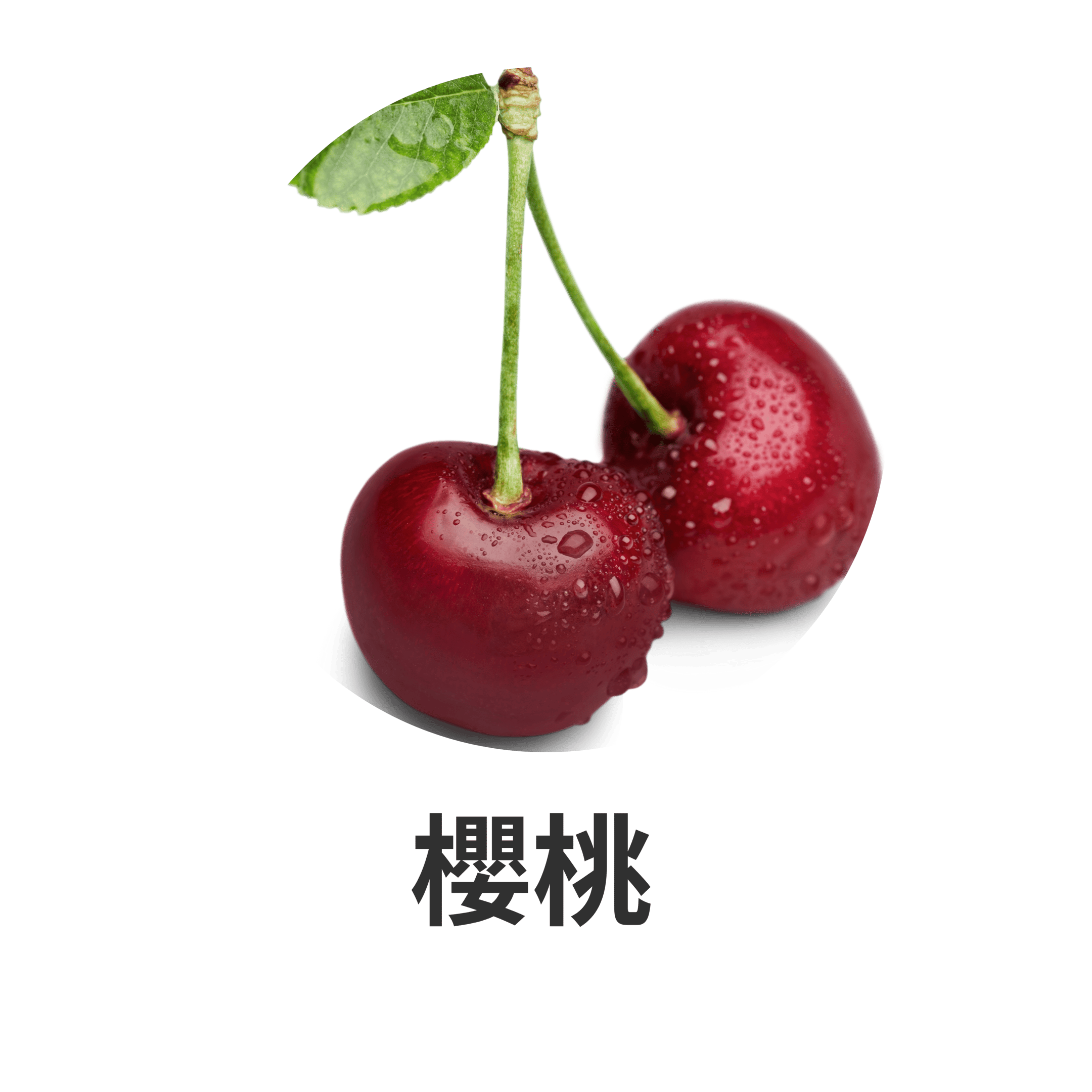 HIKARI 主要成分