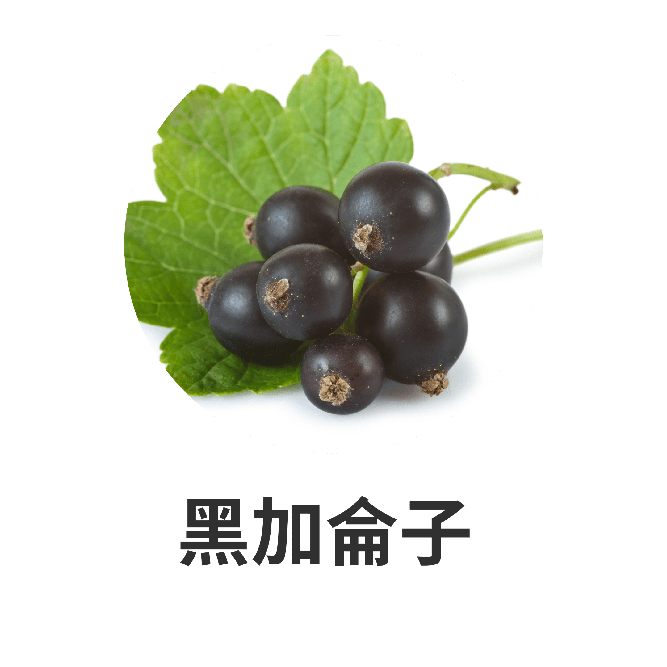 HIKARI 主要成分