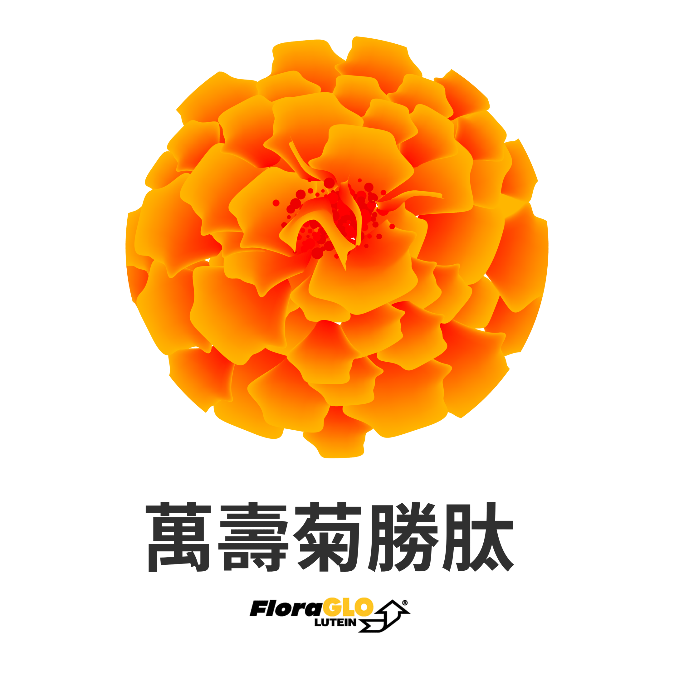 HIKARI 主要成分