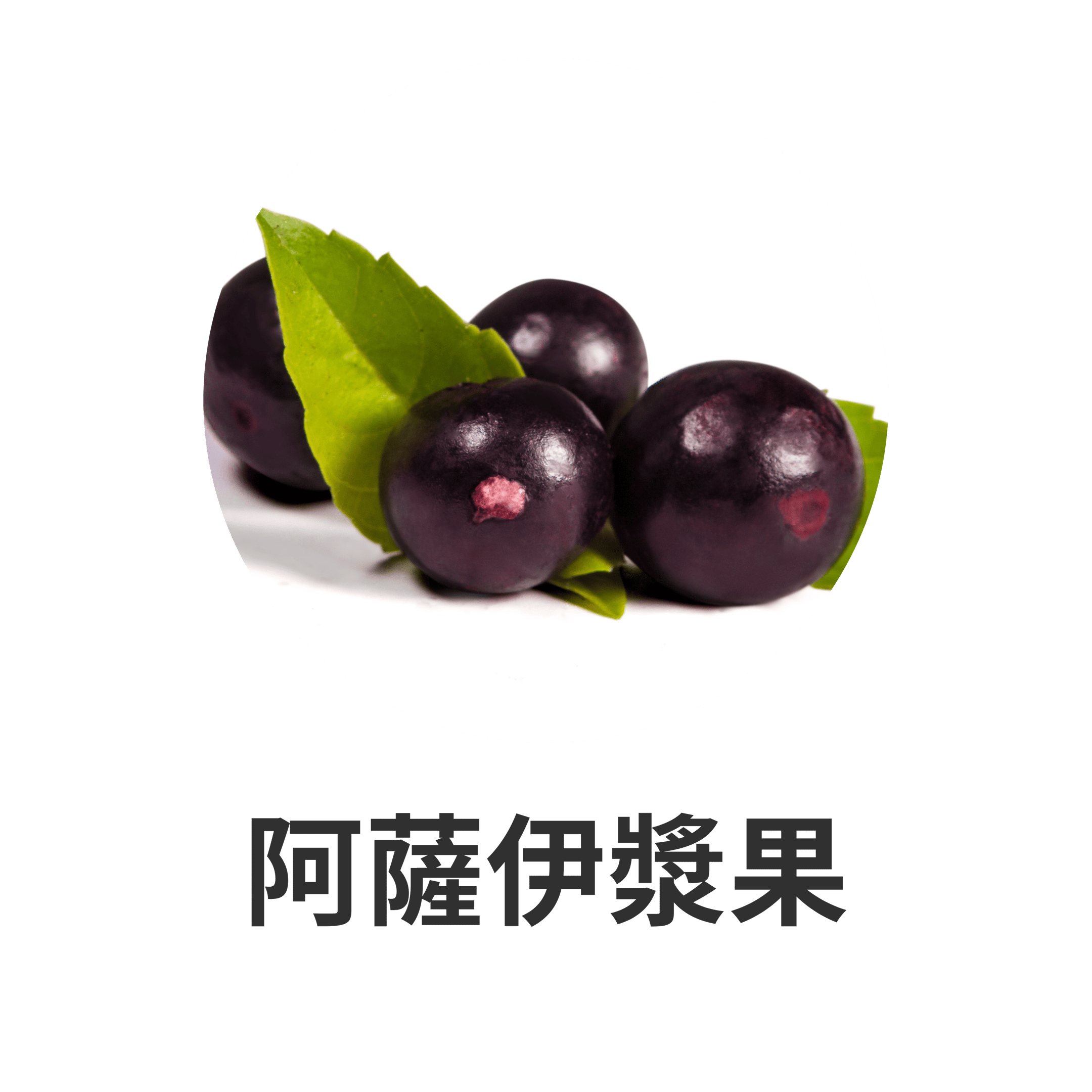HIKARI 主要成分