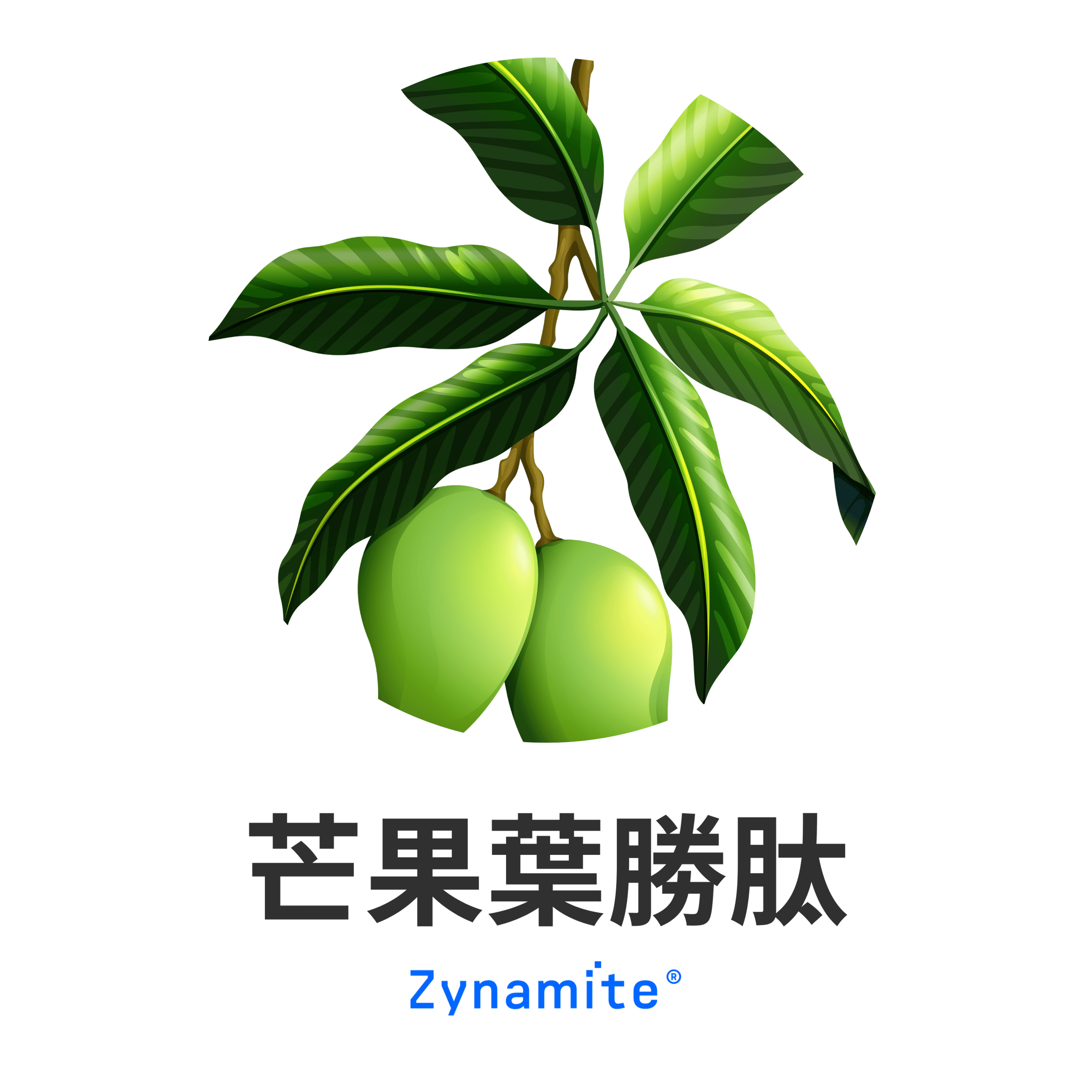 HIKARI 主要成分
