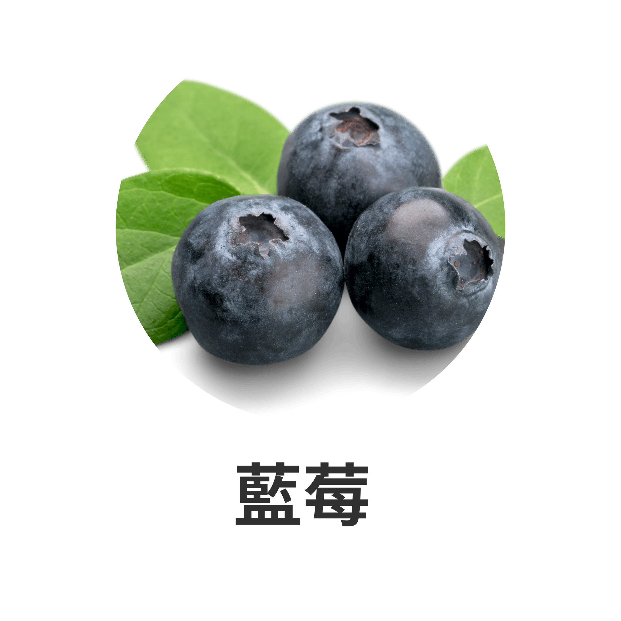 HIKARI 主要成分