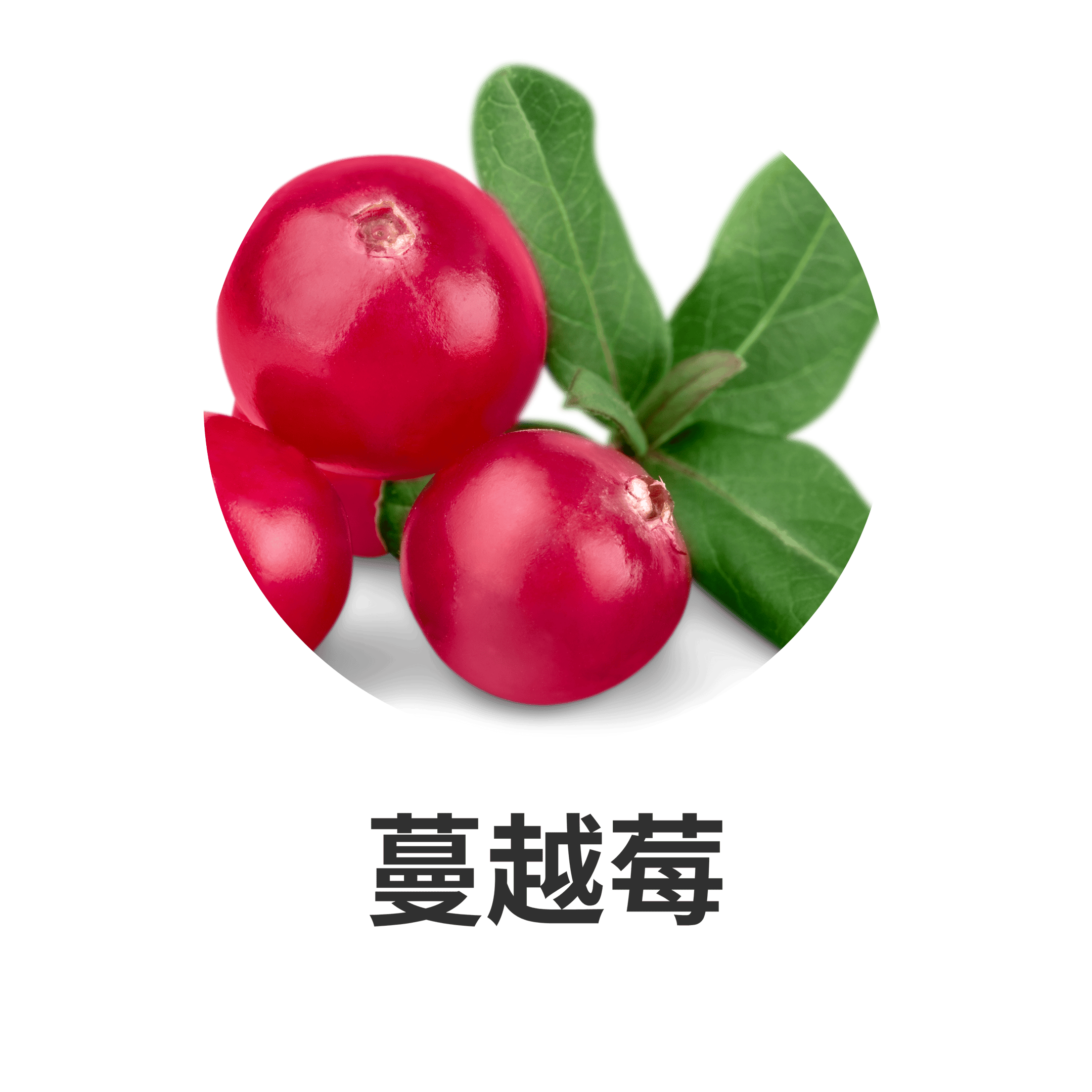 HIKARI 主要成分