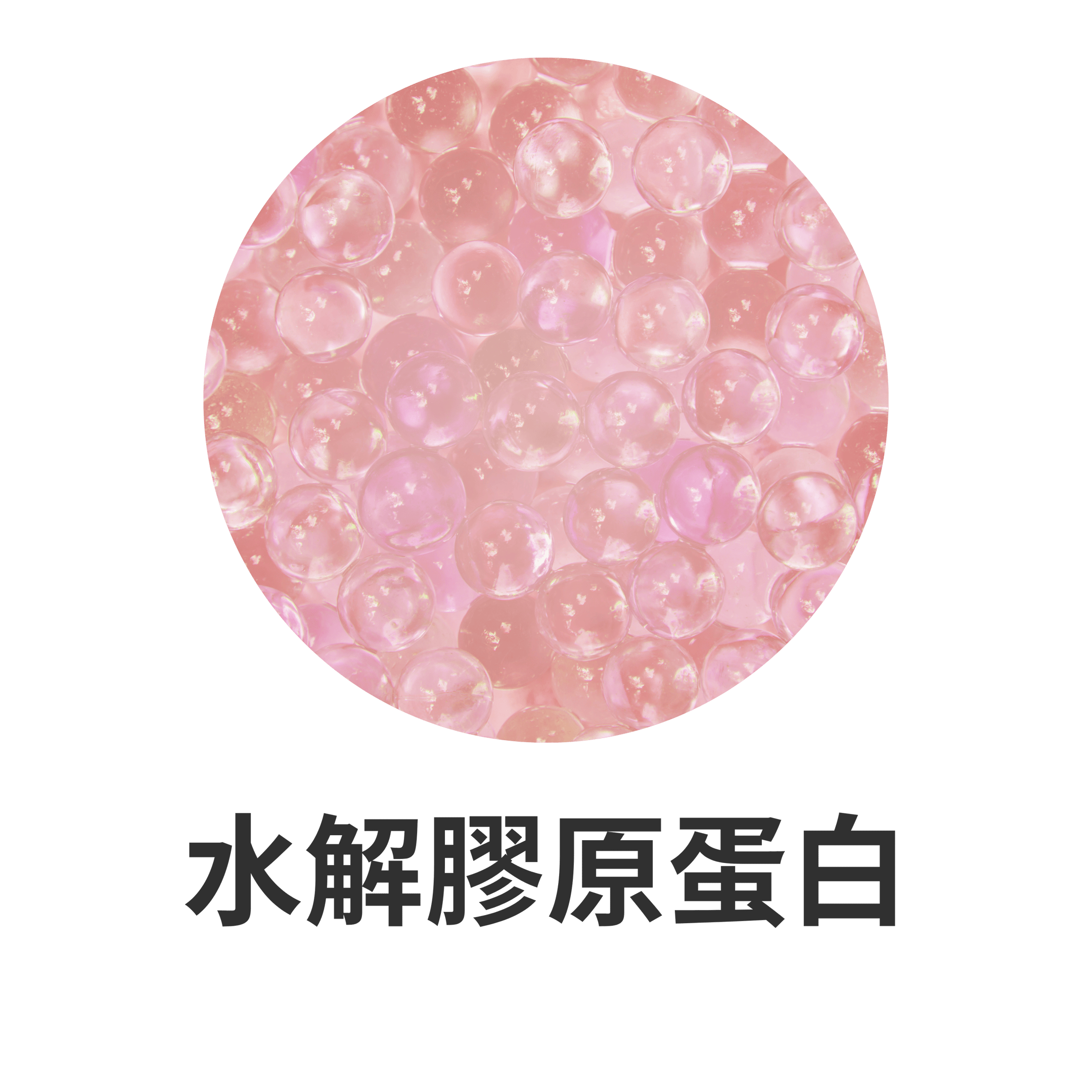 SENSEI SURU 主要成分