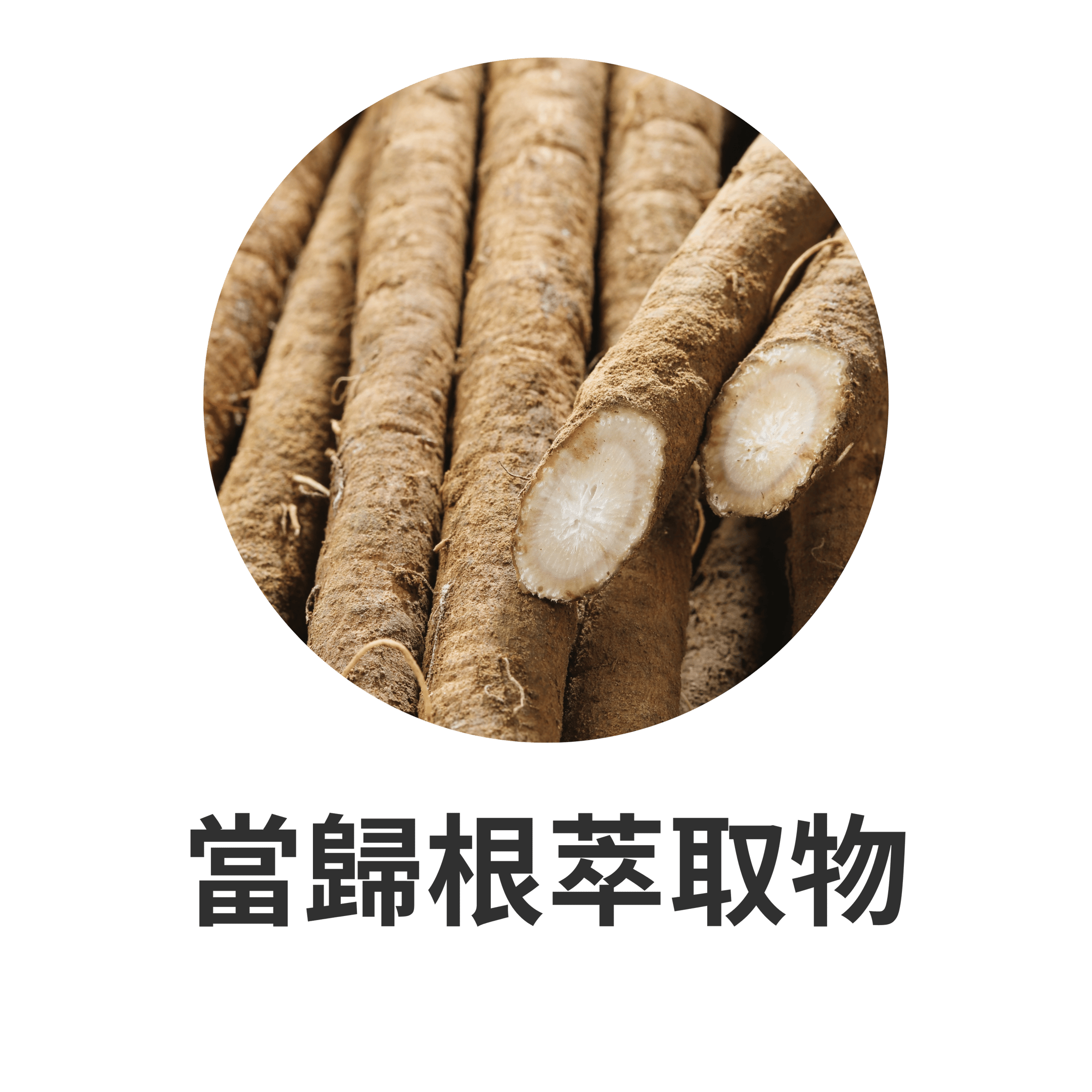 SENSEI SURU 主要成分