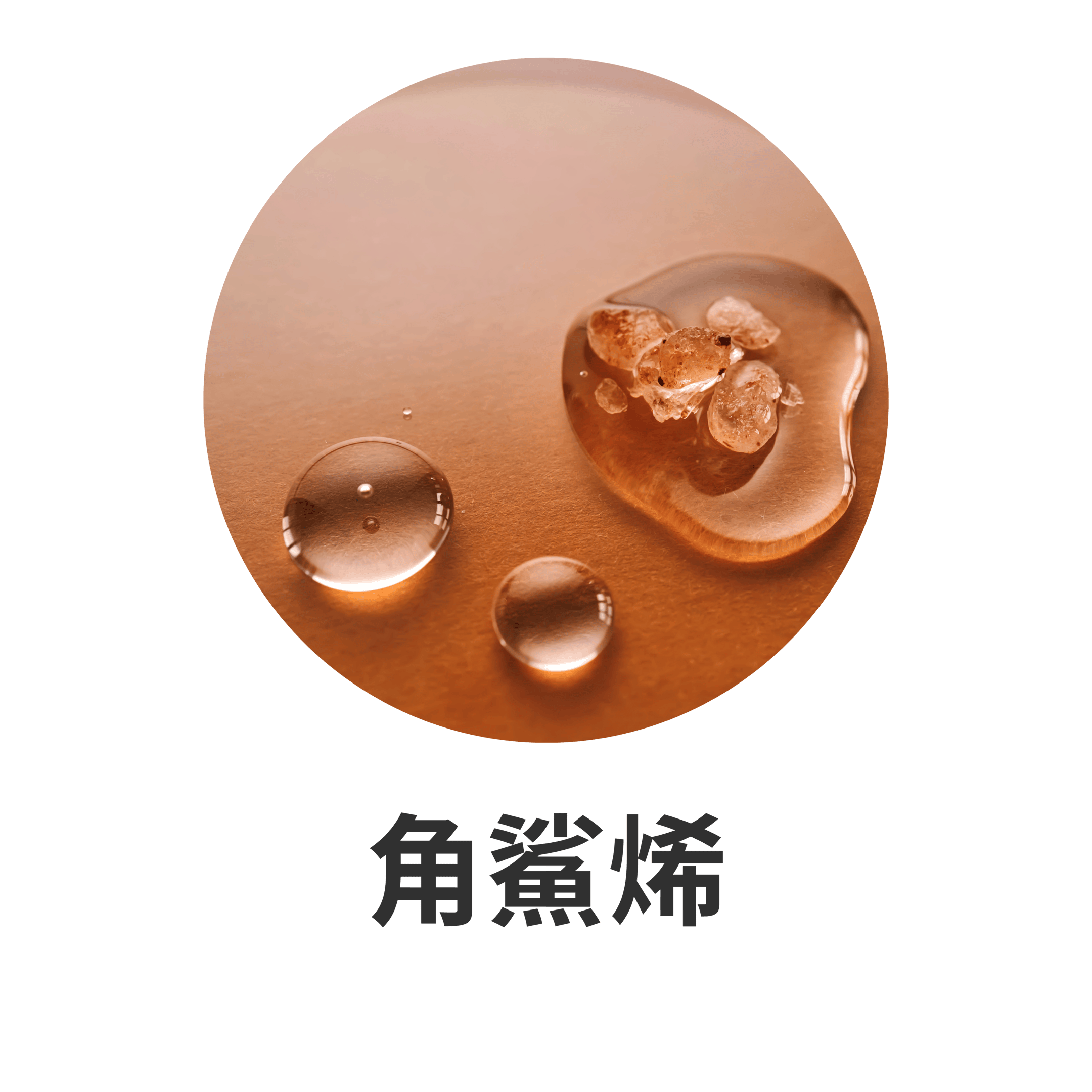 SENSEI SURU 主要成分