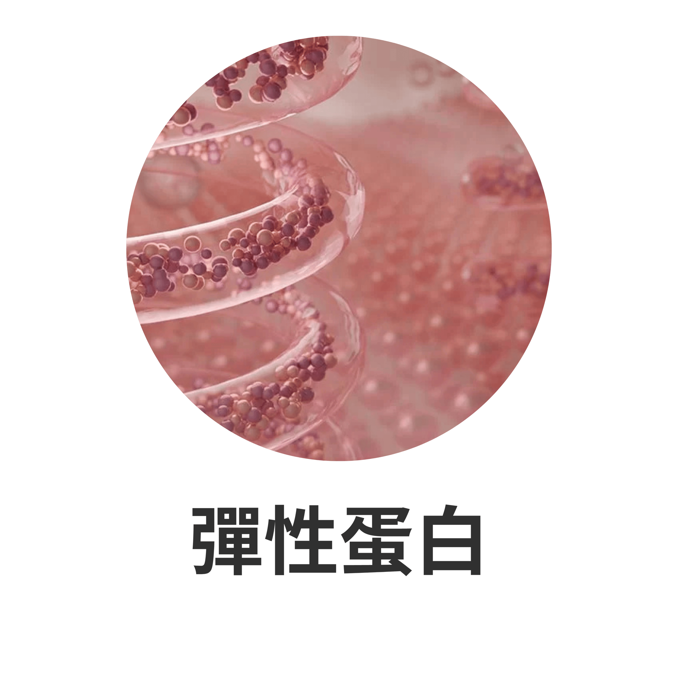 SOP SUBARASHI 主要成分
