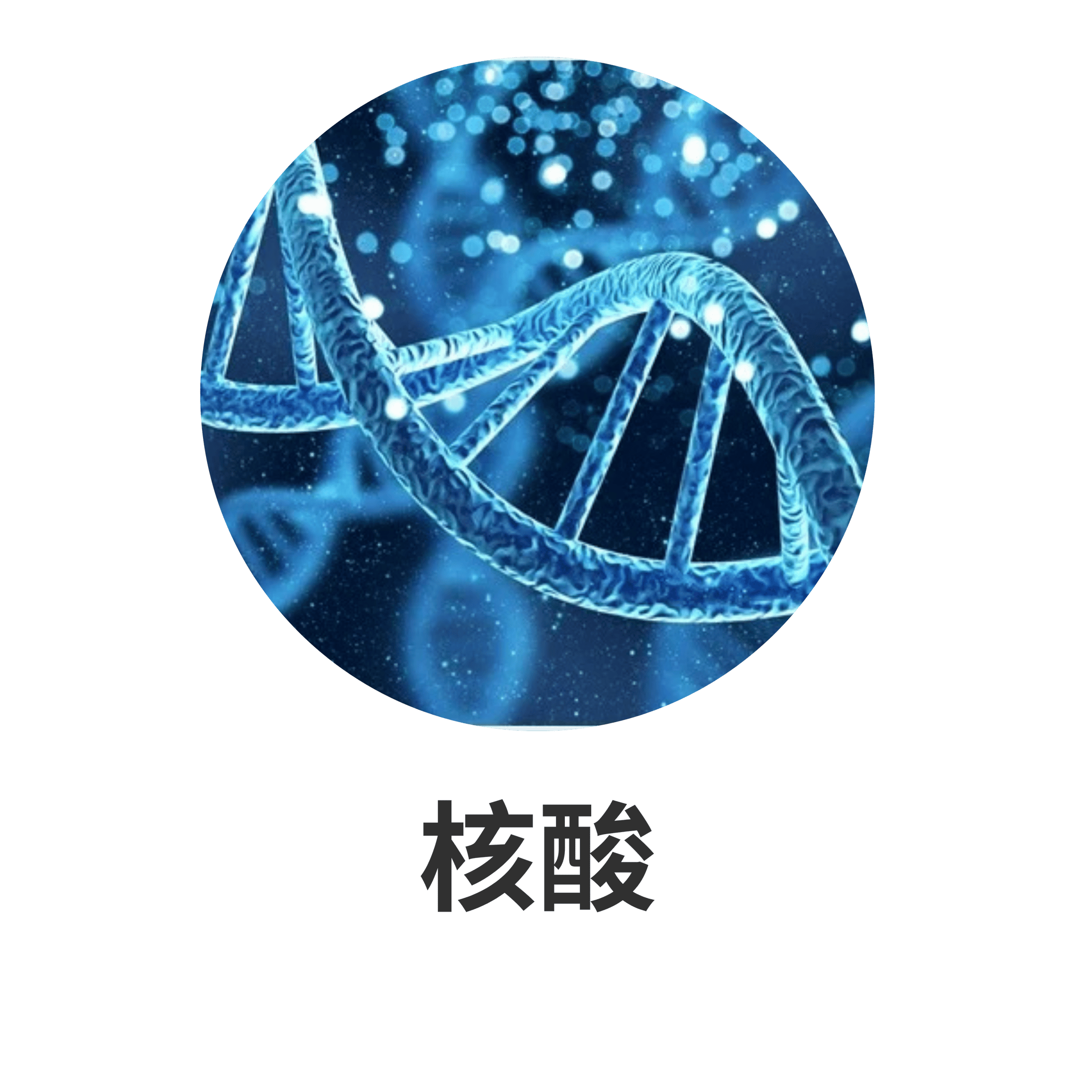 SOP SUBARASHI 主要成分