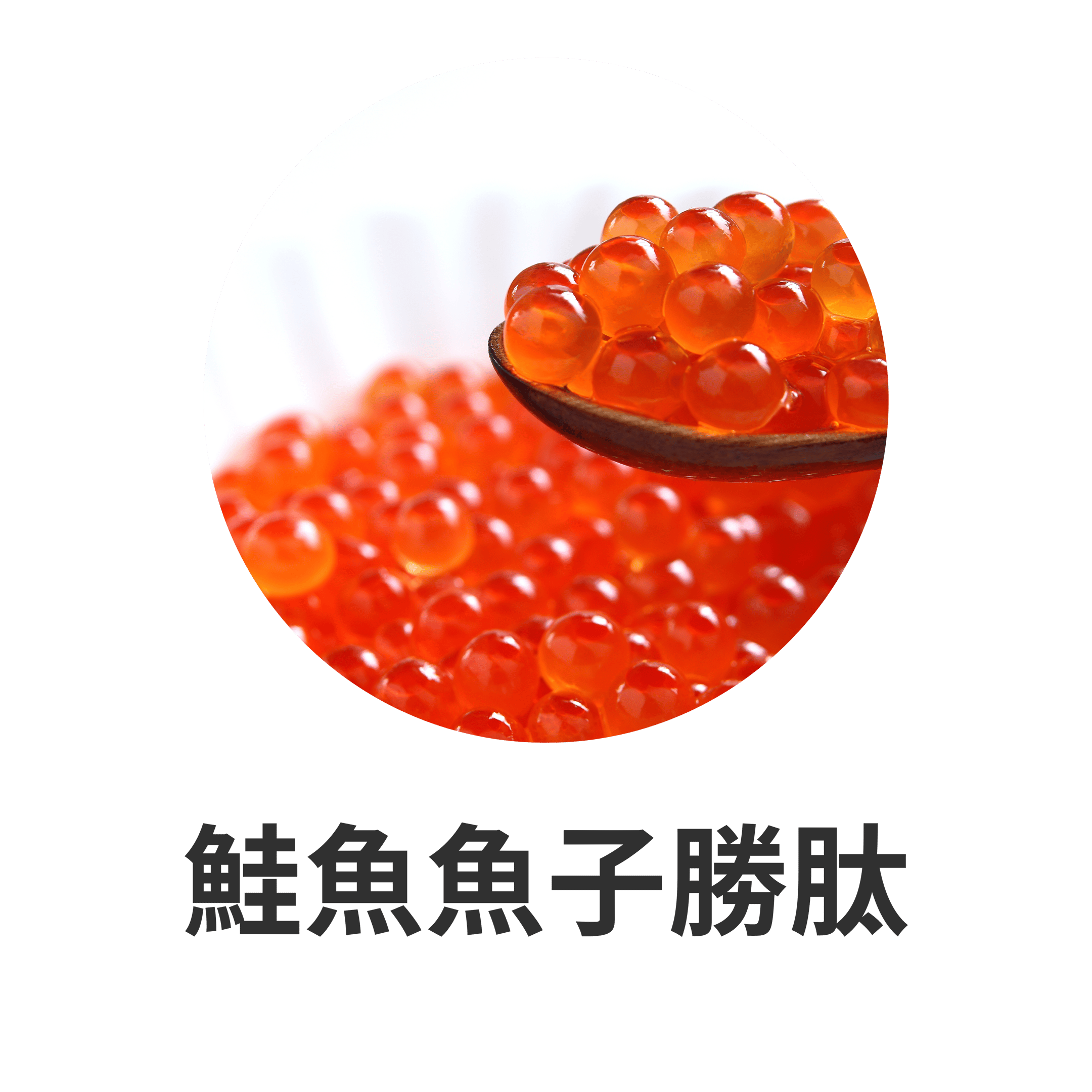 SOP SUBARASHI：三高健康調理、保護肝臟功能與降低尿酸痛風