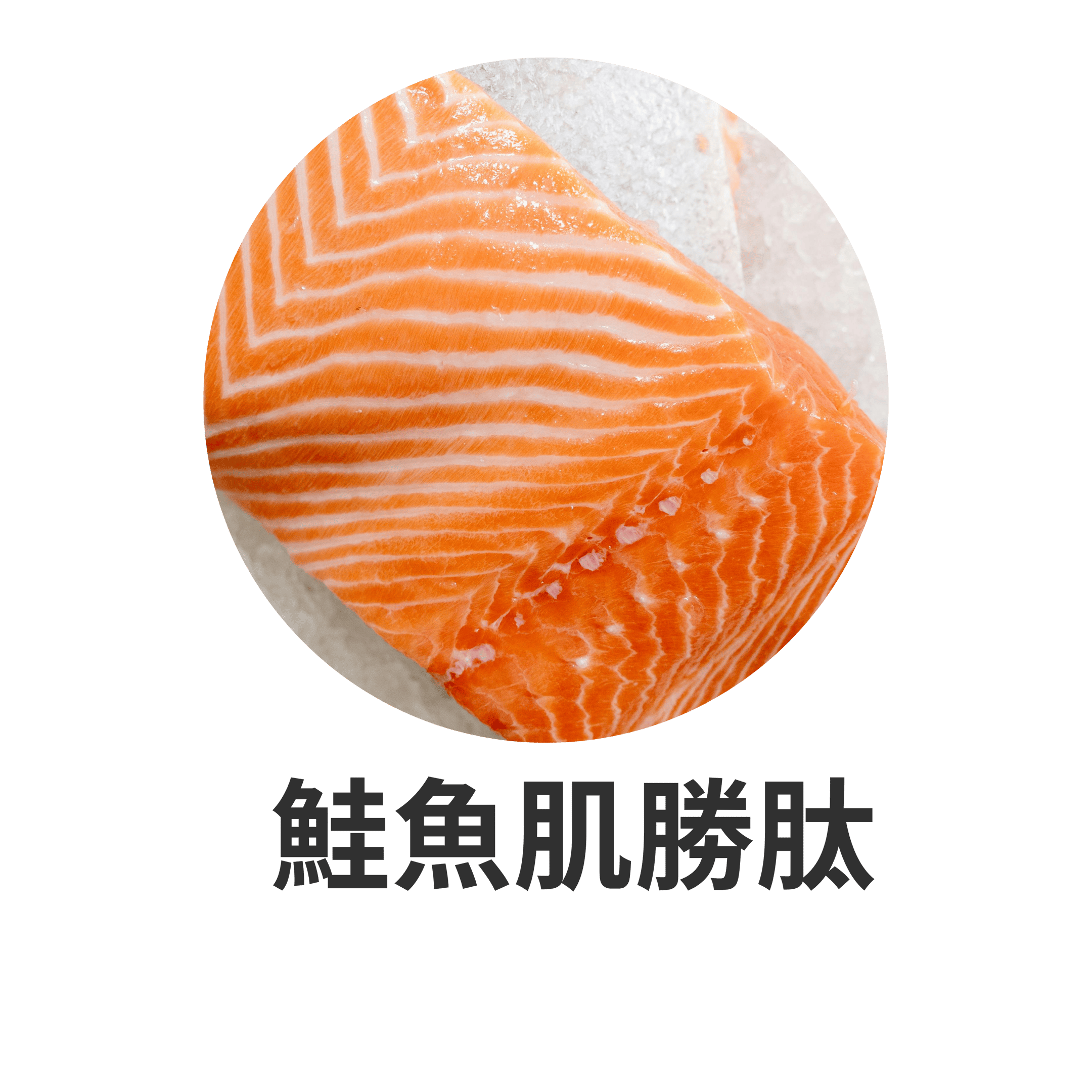 SOP SUBARASHI：骨骼關節修復、調節荷爾蒙與改善腎功能