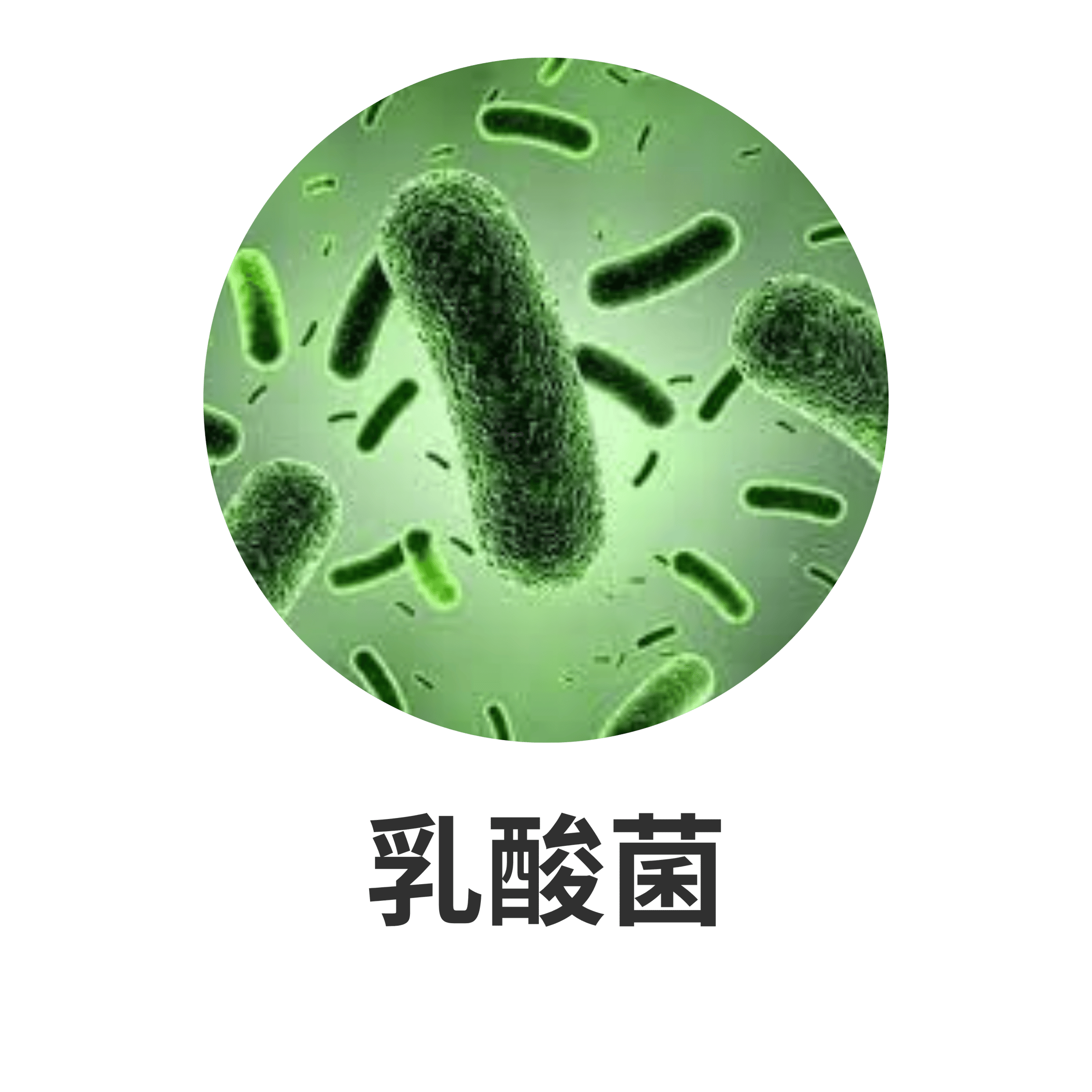UTSUKUSHHII 主要成分