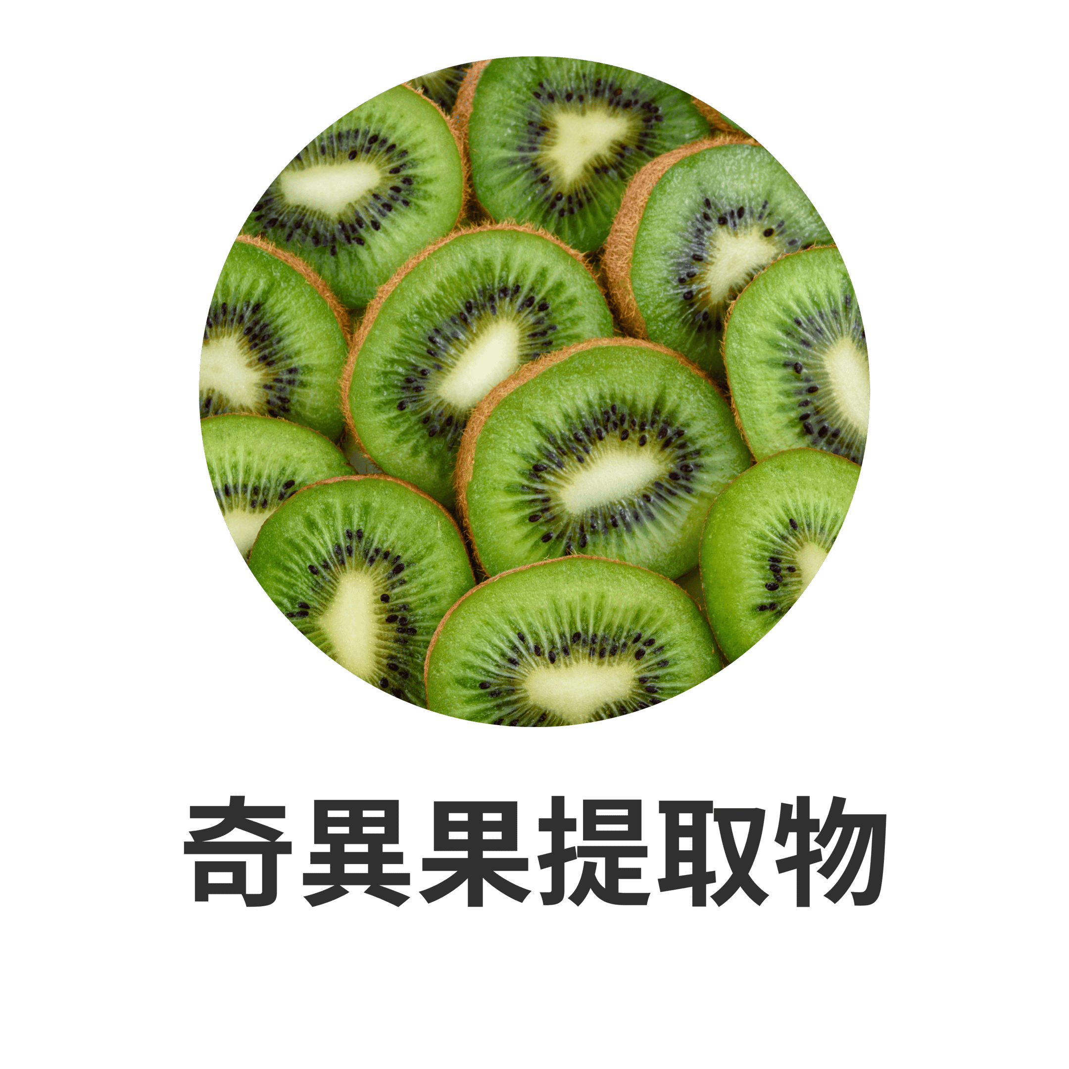UTSUKUSHHII 主要成分