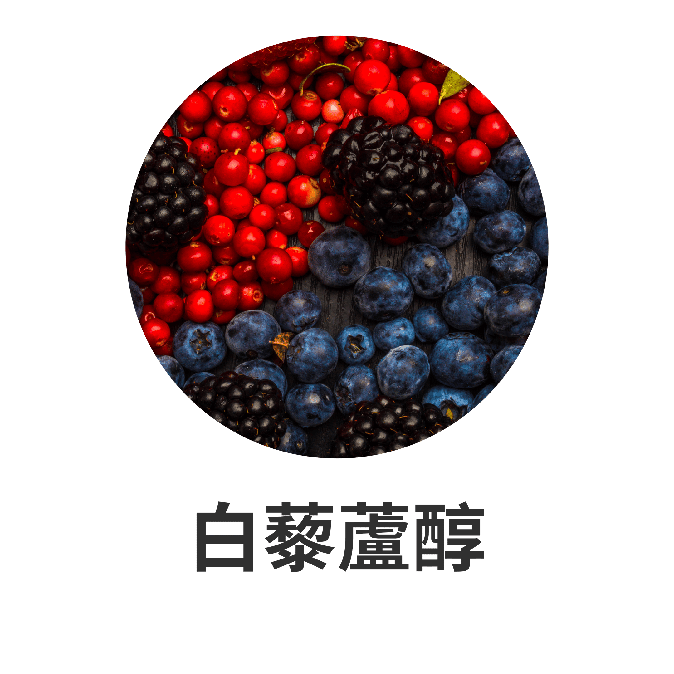 UTSUKUSHHII 主要成分