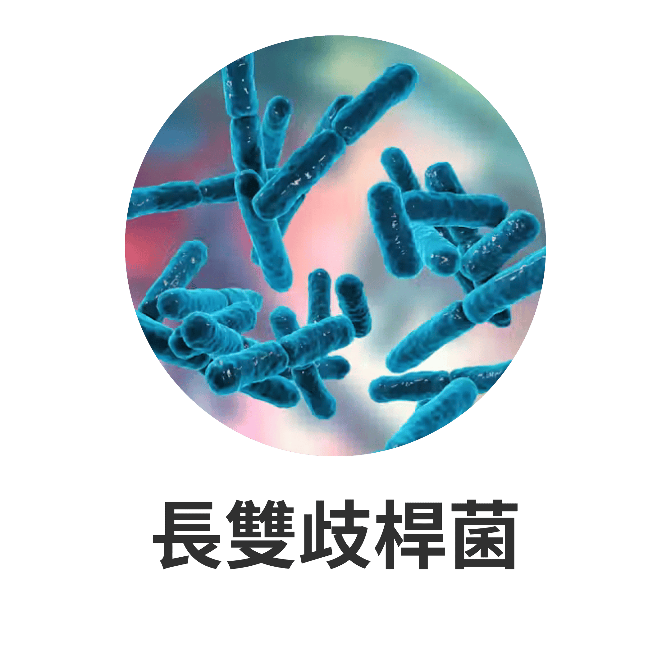 UTSUKUSHHII 主要成分